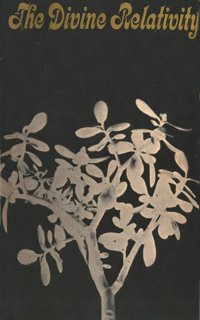 The Divine Relativity: A Social Conception of God (The Terry Lectures Series)