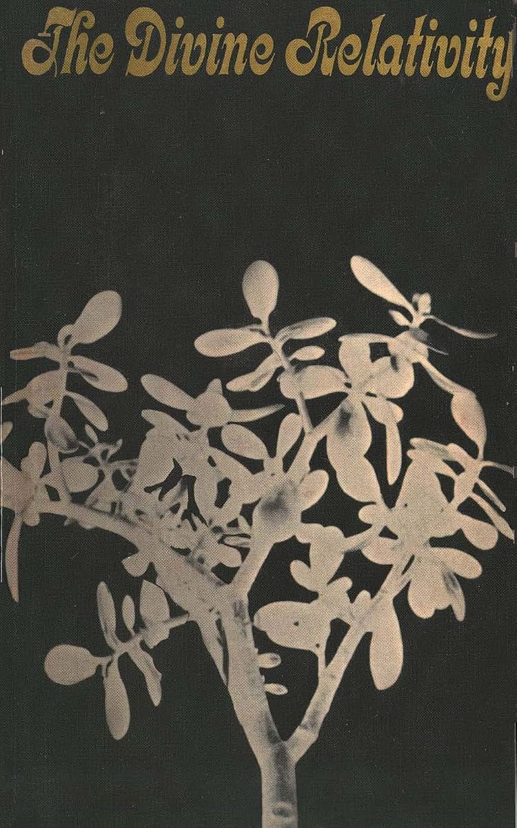 The Divine Relativity: A Social Conception of God (The Terry Lectures Series)