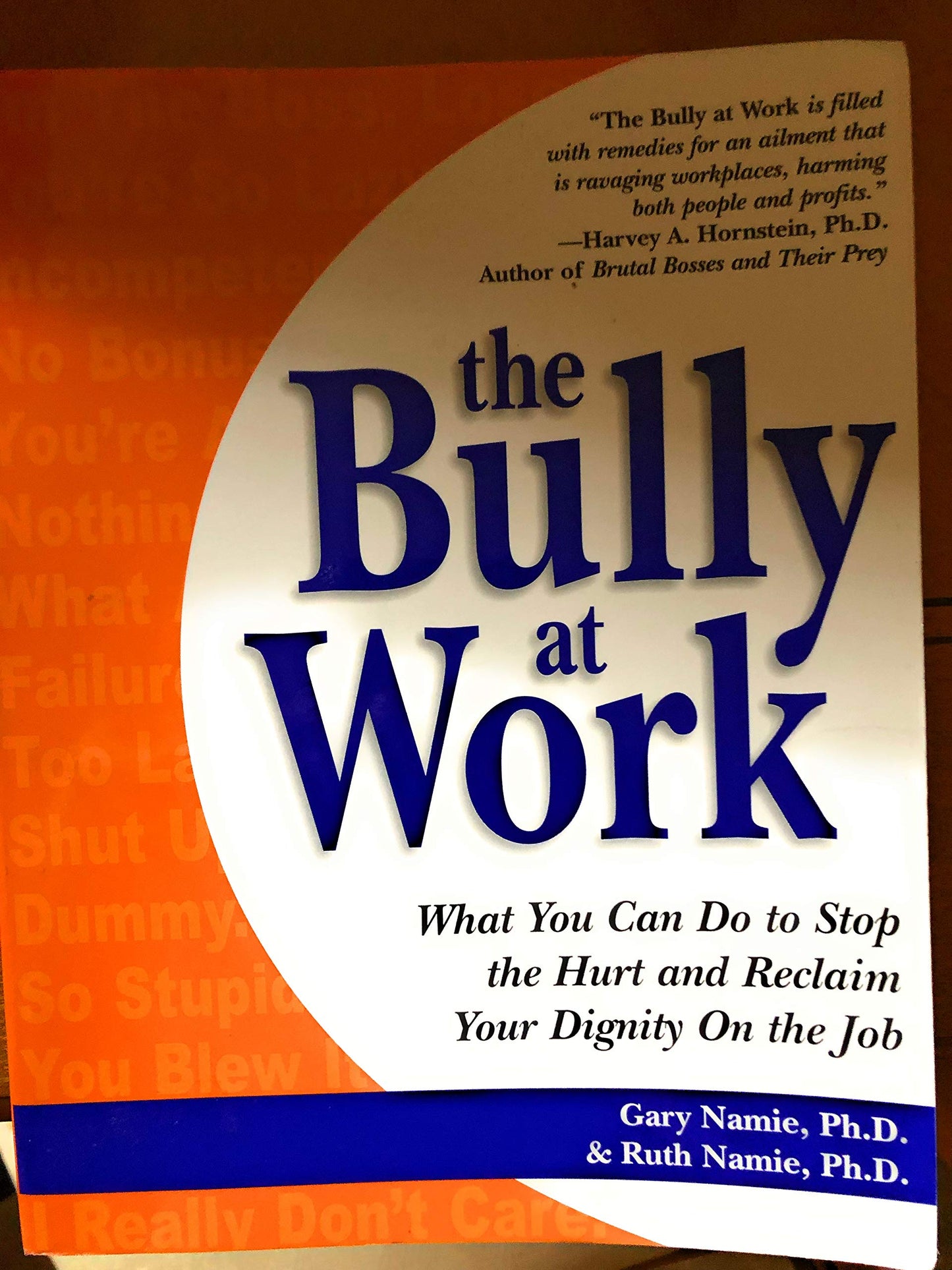 The Bully at Work: What You Can Do to Stop the Hurt