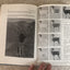 Sheep and Sheep Hunting: The Definitive Book on Wild Sheep