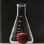 Introductory Food Chemistry