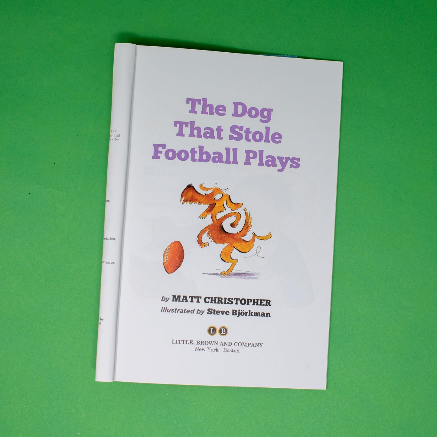 The Dog That Stole Football Plays (Passport to Reading Level 3, 1)