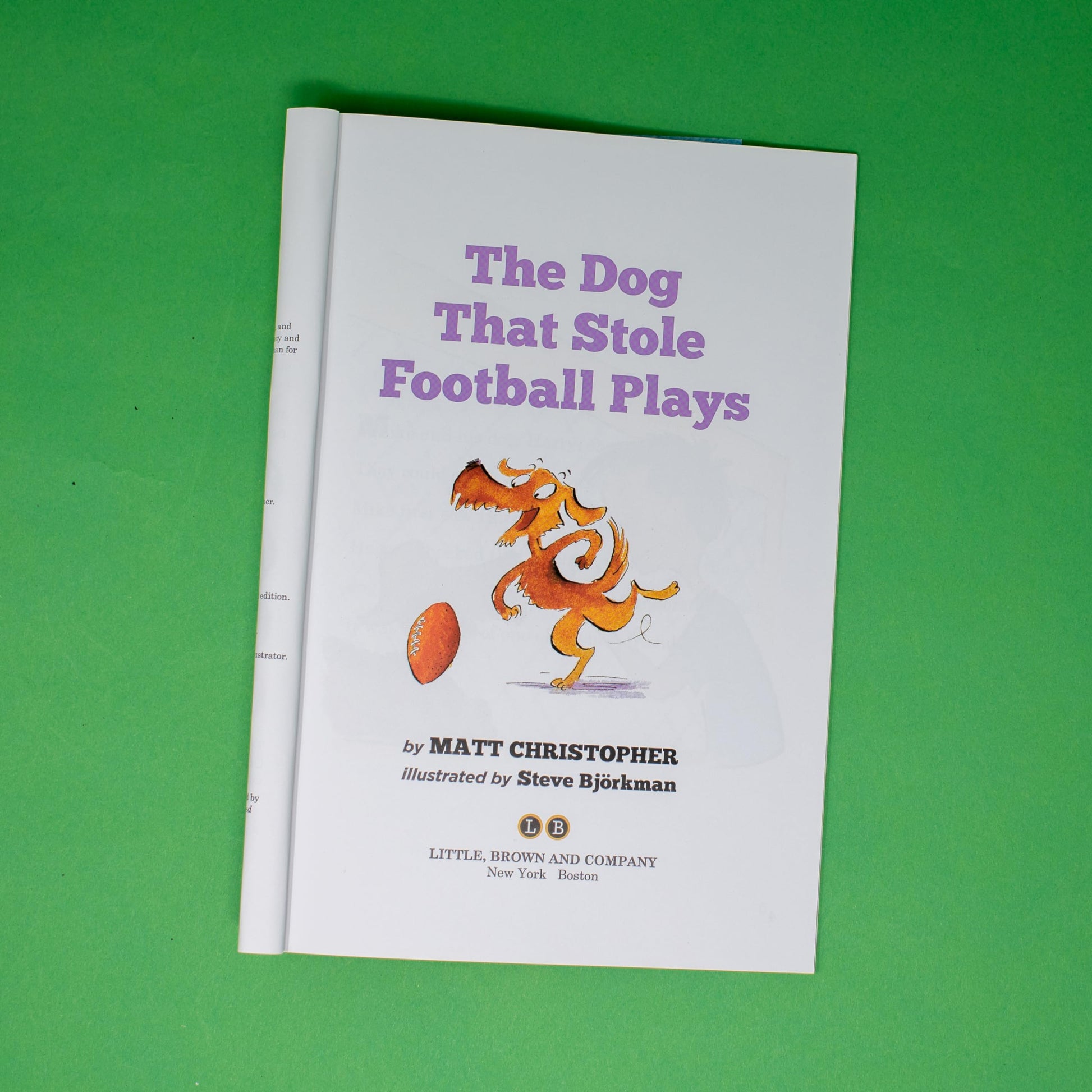 The Dog That Stole Football Plays (Passport to Reading Level 3, 1)