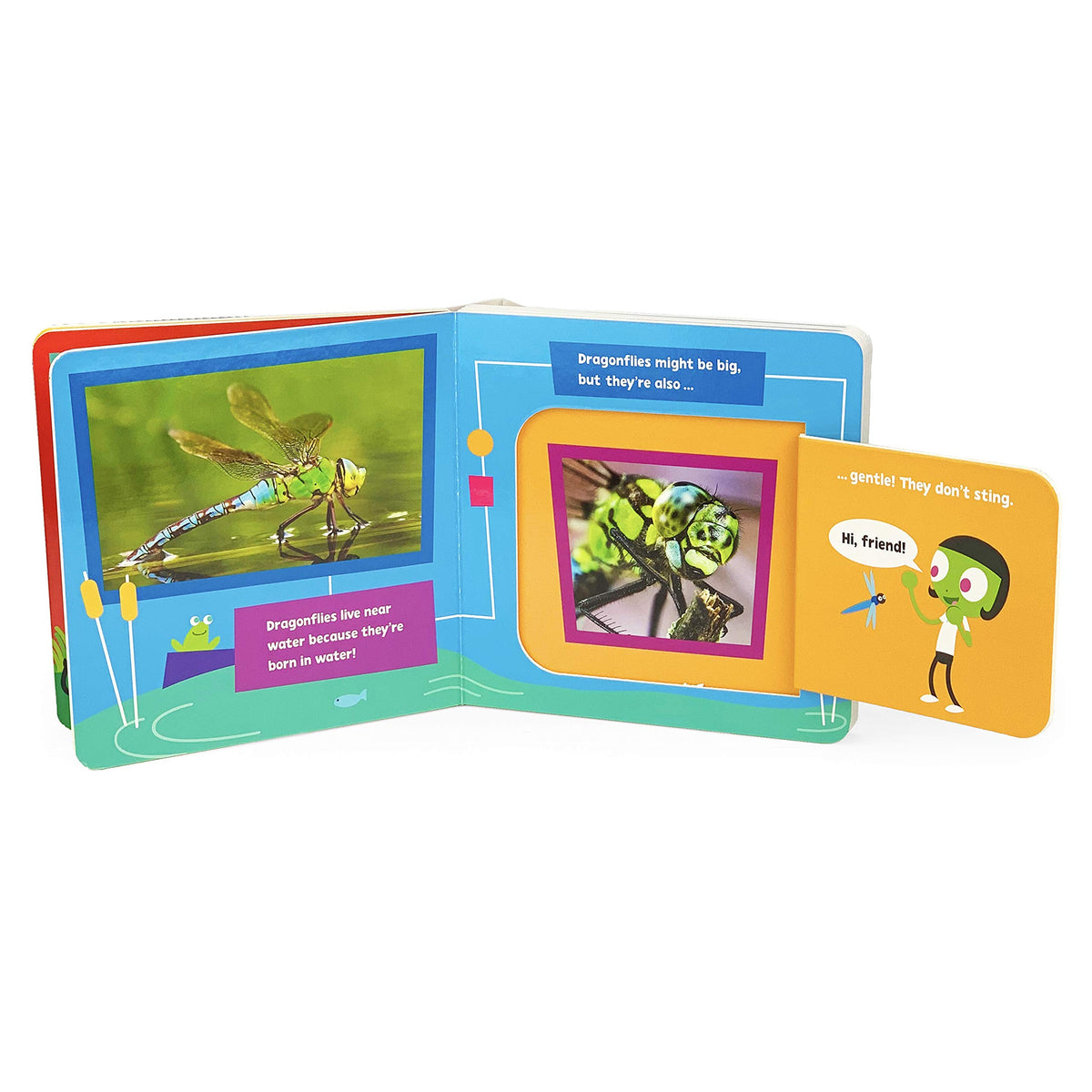 Bugs and Insects! A PBS Kids Lift-a-Flap Board Book for Babies and Toddlers, Ages 1-4 (Pbs Kids Chunky Lift-a-flap Board Book)