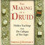The Making of a Druid: Hidden Teachings from The Colloquy of