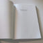 Agendas, Alternatives, and Public Policies, 2nd Edition (Longman Classics in Political Science)