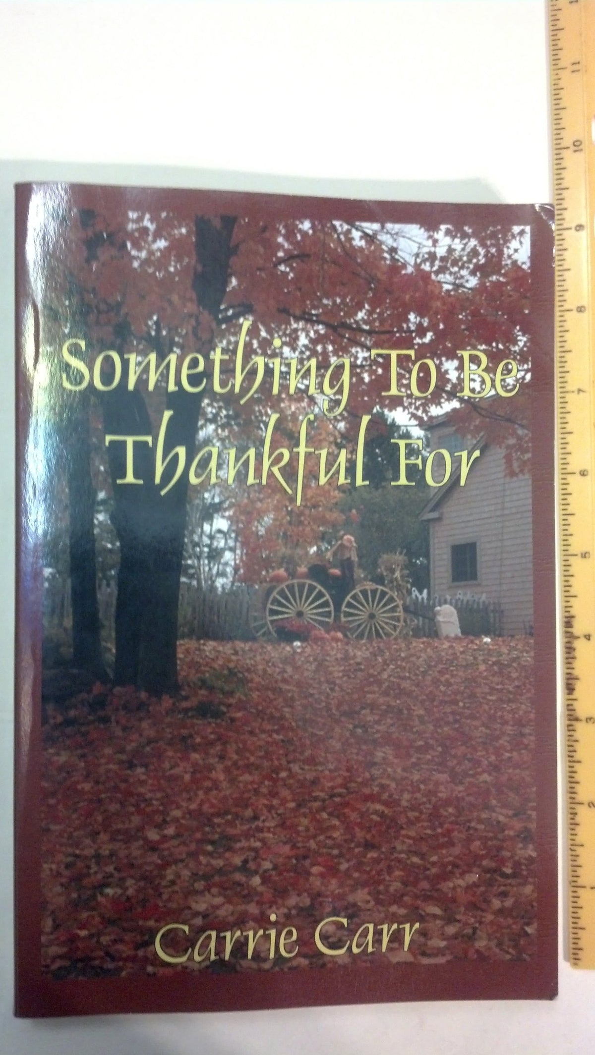 Something to Be Thankful for