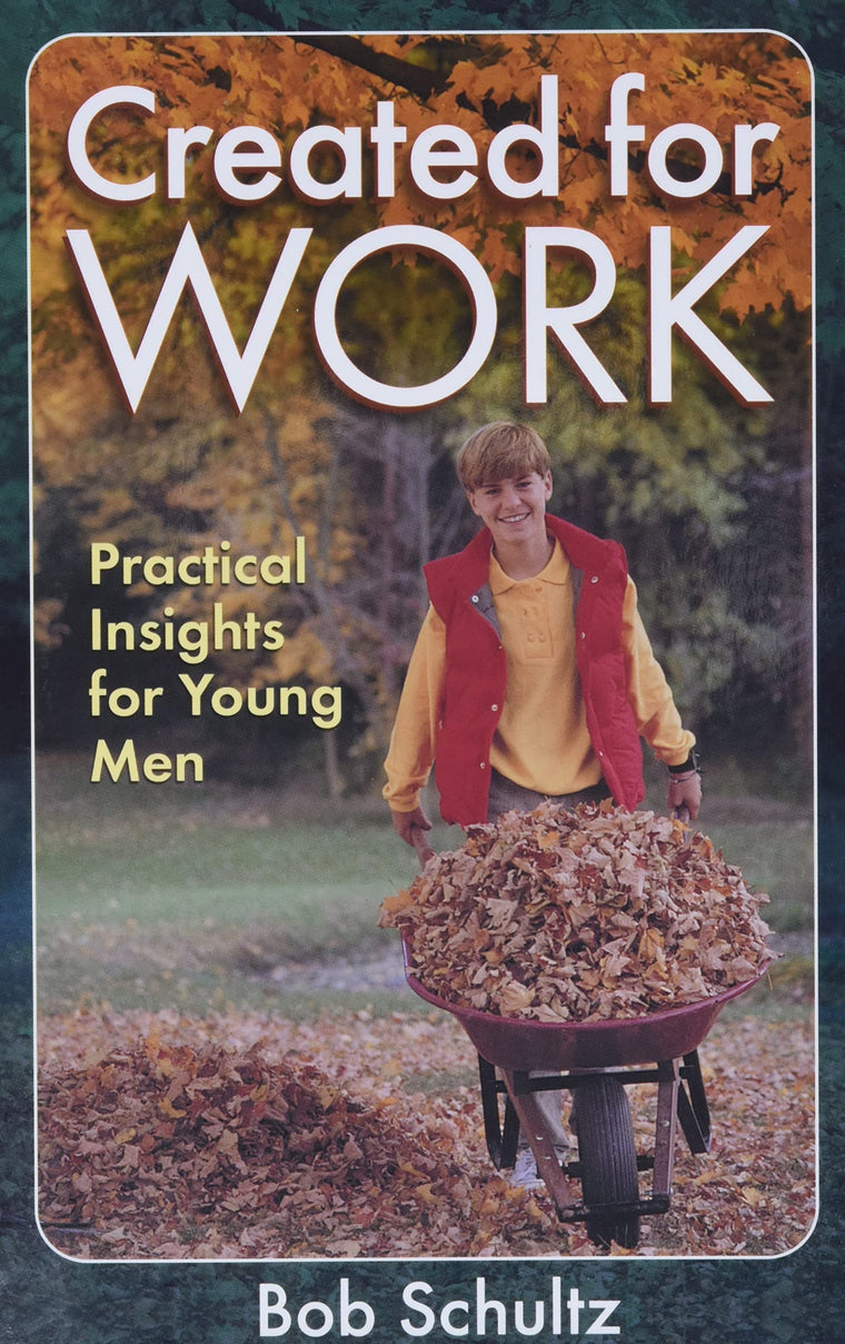 Created for Work: Practical Insights for Young Men