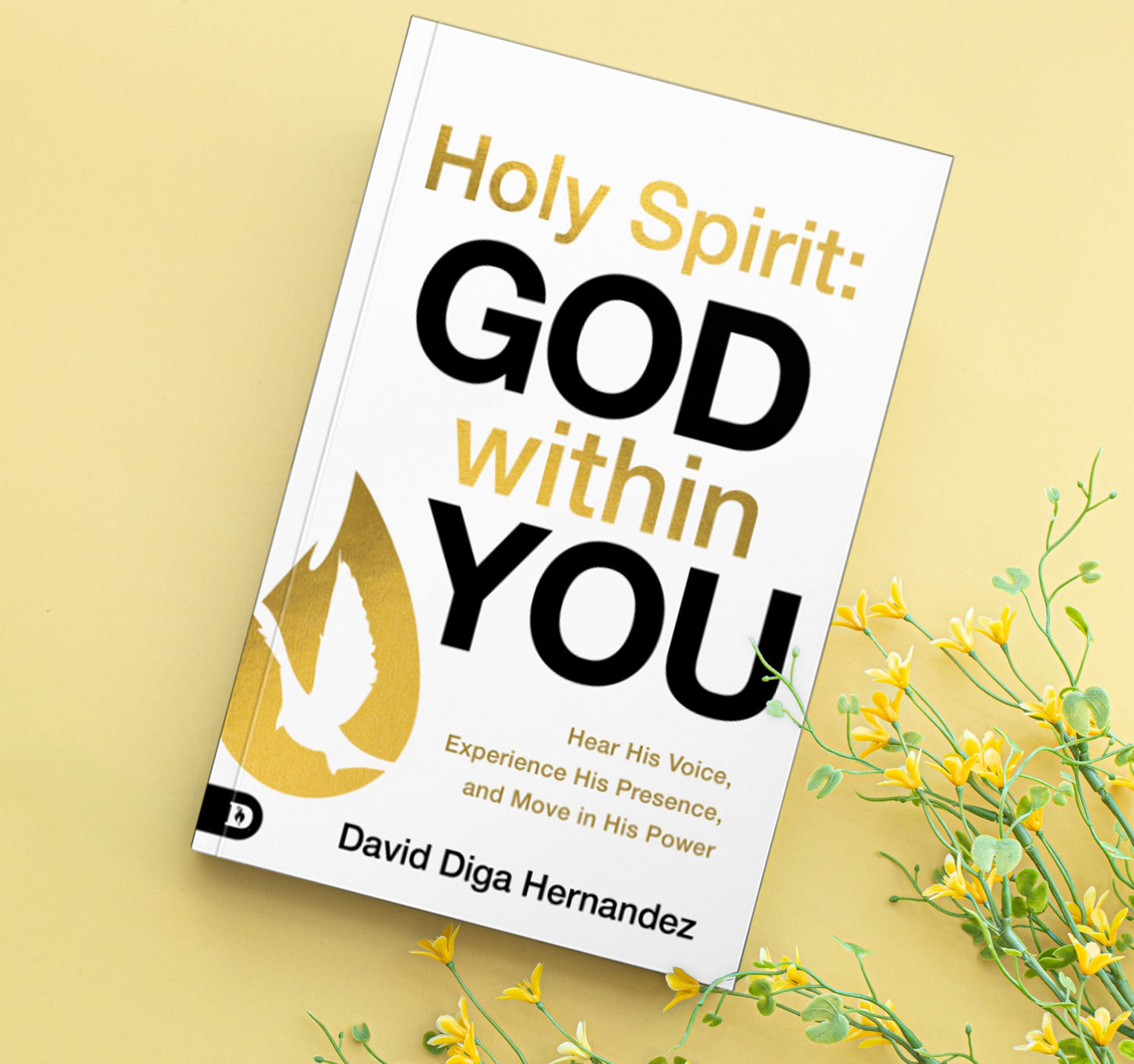Holy Spirit: God Within You: Hear His Voice,Experience His Presence,and Move in His Power