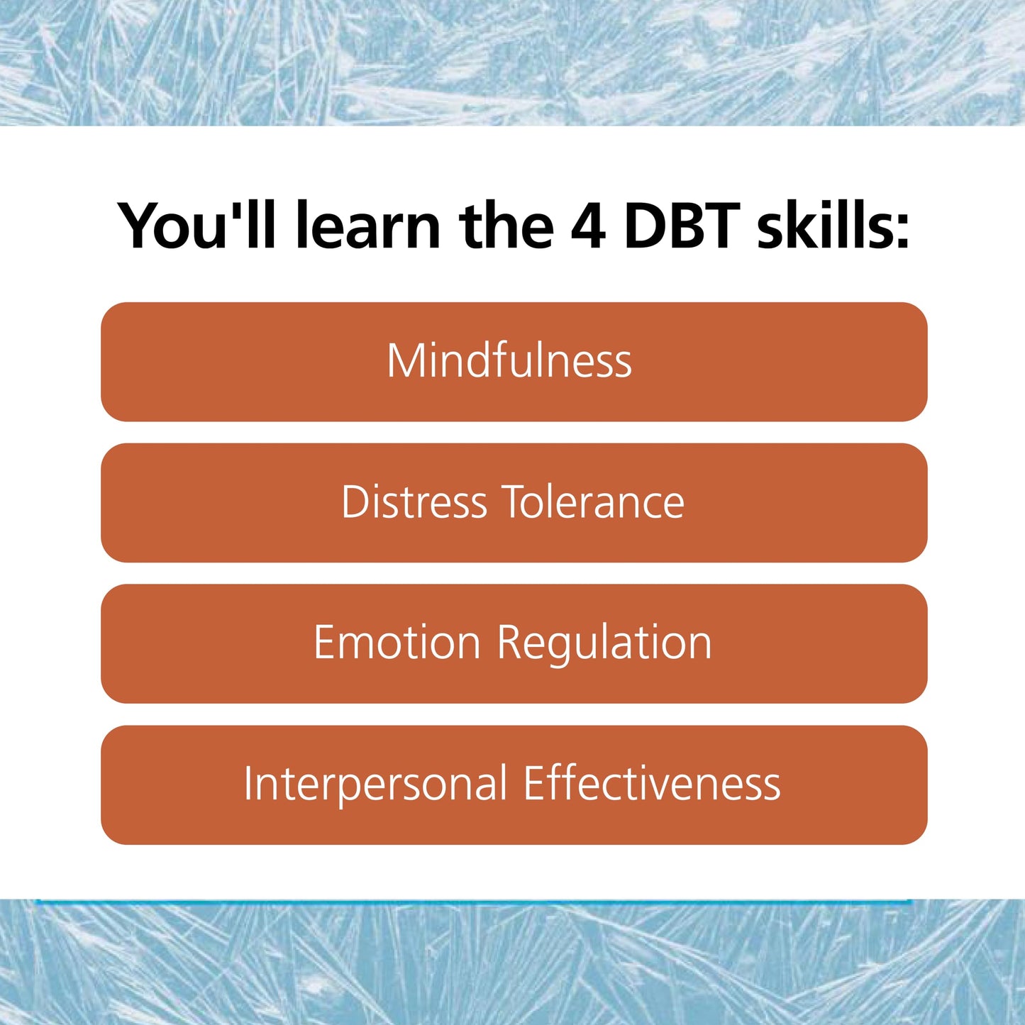 The Dialectical Behavior Therapy Skills Workbook for Bipolar Disorder: Using DBT to Regain Control of Your Emotions and Your Life