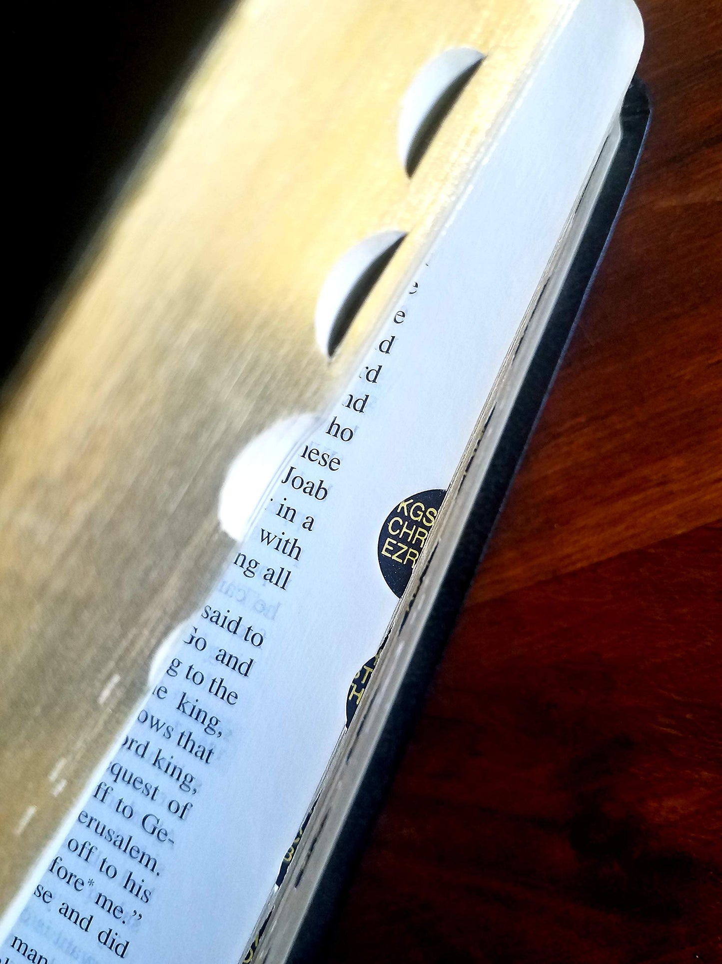 Catholic Study Bible by Senior, Donald