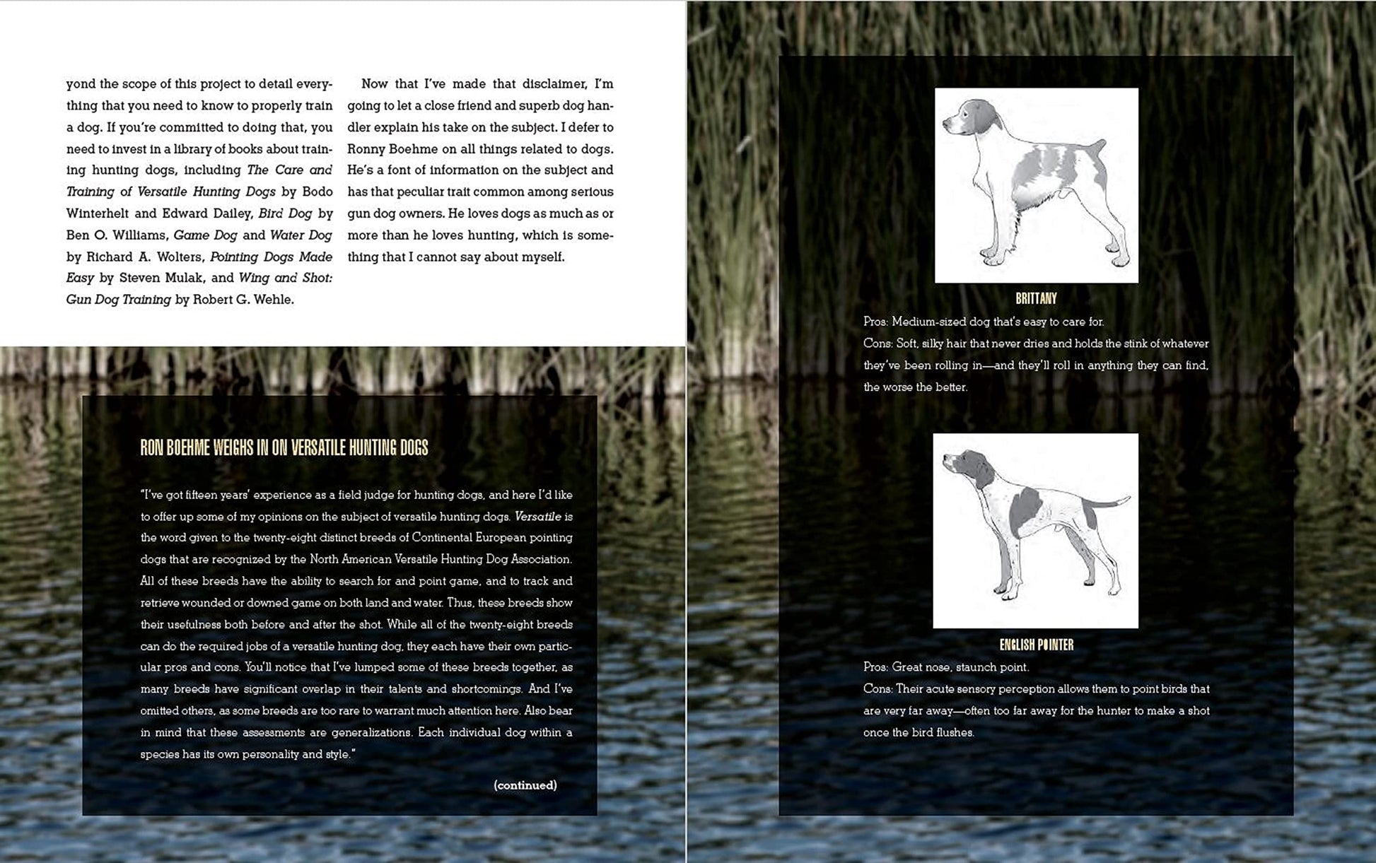 The Complete Guide to Hunting, Butchering, and Cooking Wild Game: Volume 2: Small Game and Fowl