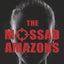 The Mossad Amazons - The Amazing Women in the Israeli Secret Service