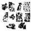 Princeton Architectural Press Dog Box: 100 Postcards by 10 Artists
