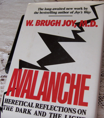 Avalanche: Heretical Reflections on the Dark and the Light b