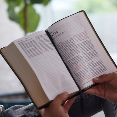 NKJV, End-of-Verse Reference Bible, Personal Size Large Prin