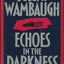 Echoes in the Darkness