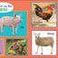 My First 101 ANIMALS Padded Board Book