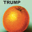 A Ladybird Book About Trump (Ladybirds for Grown-ups)