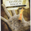 Protection & Reversal Magick: A Witch's Defense Manual (Beyond 101)