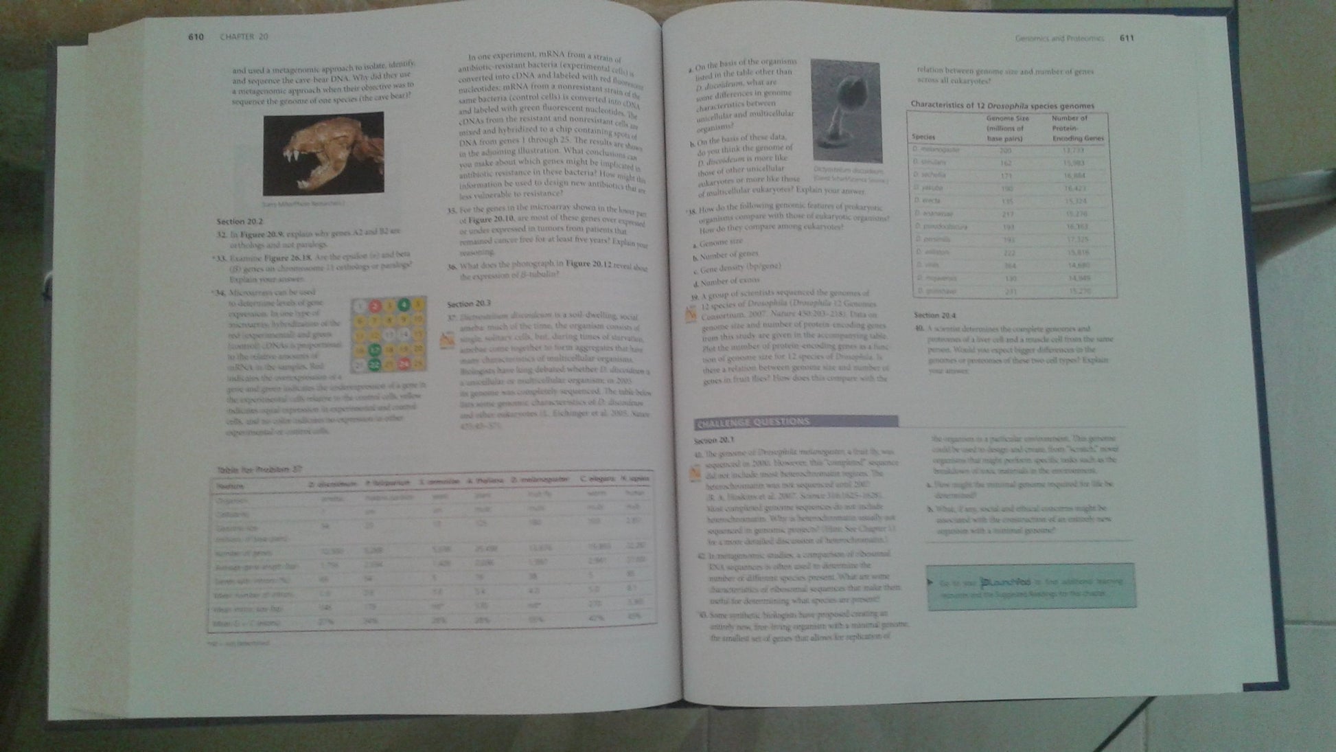 Genetics: A Conceptual Approach, 5th Edition