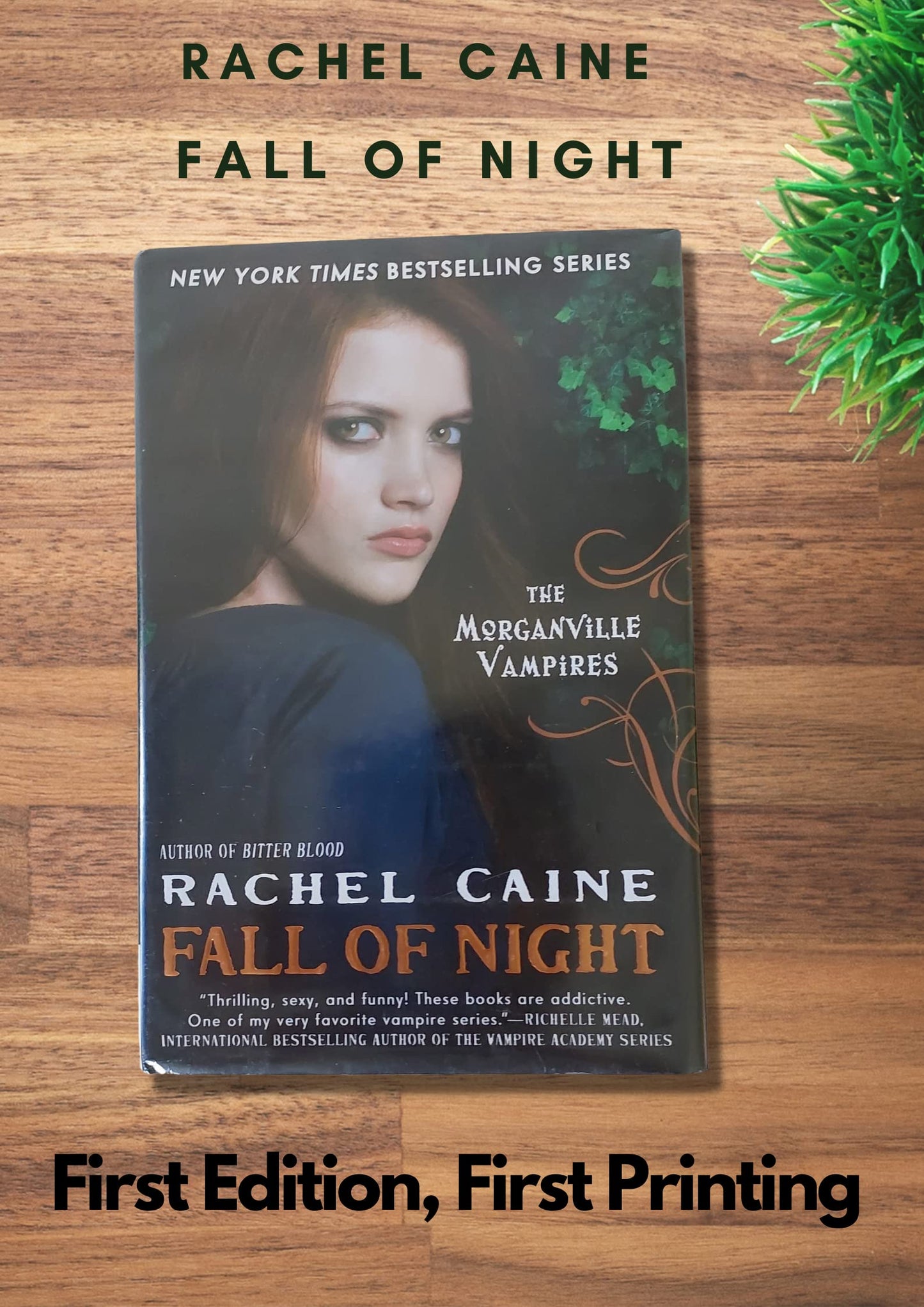 Fall of Night by Rachel Caine