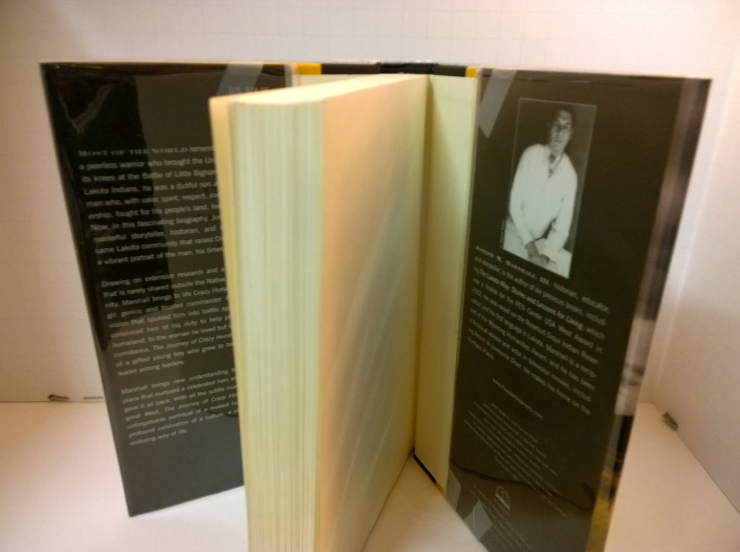 The Journey of Crazy Horse: A Lakota History by Marshall III