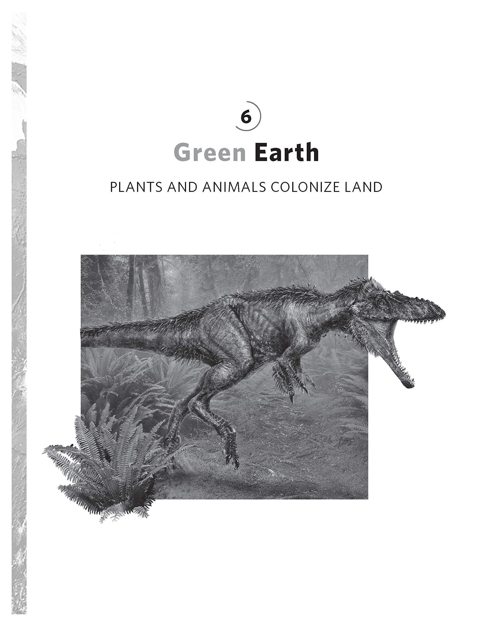 A Brief History of Earth: Four Billion Years in Eight Chapters