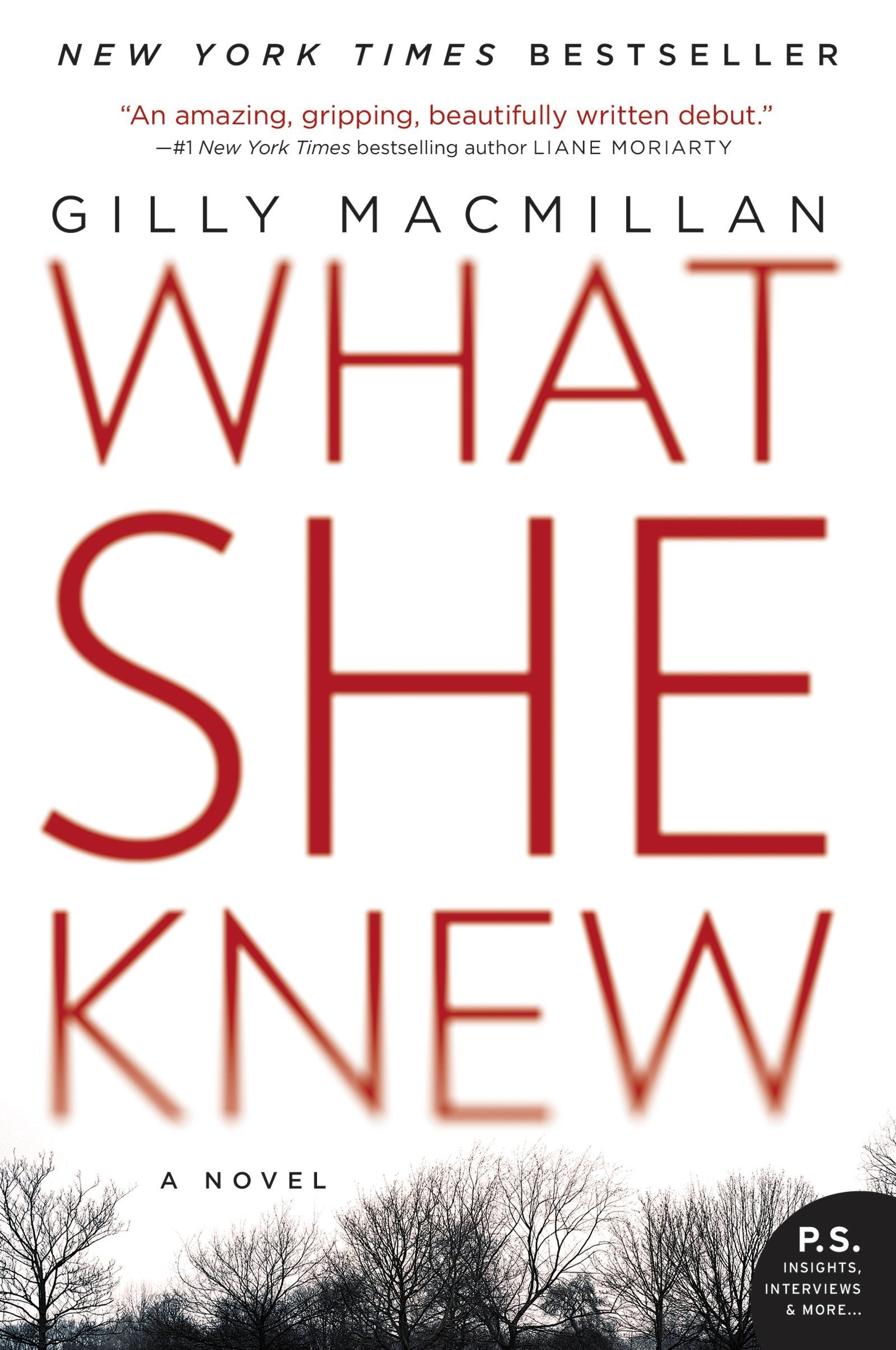 What She Knew: A British Domestic Thriller Where Kidnapping Reveals Deadly Family Secrets