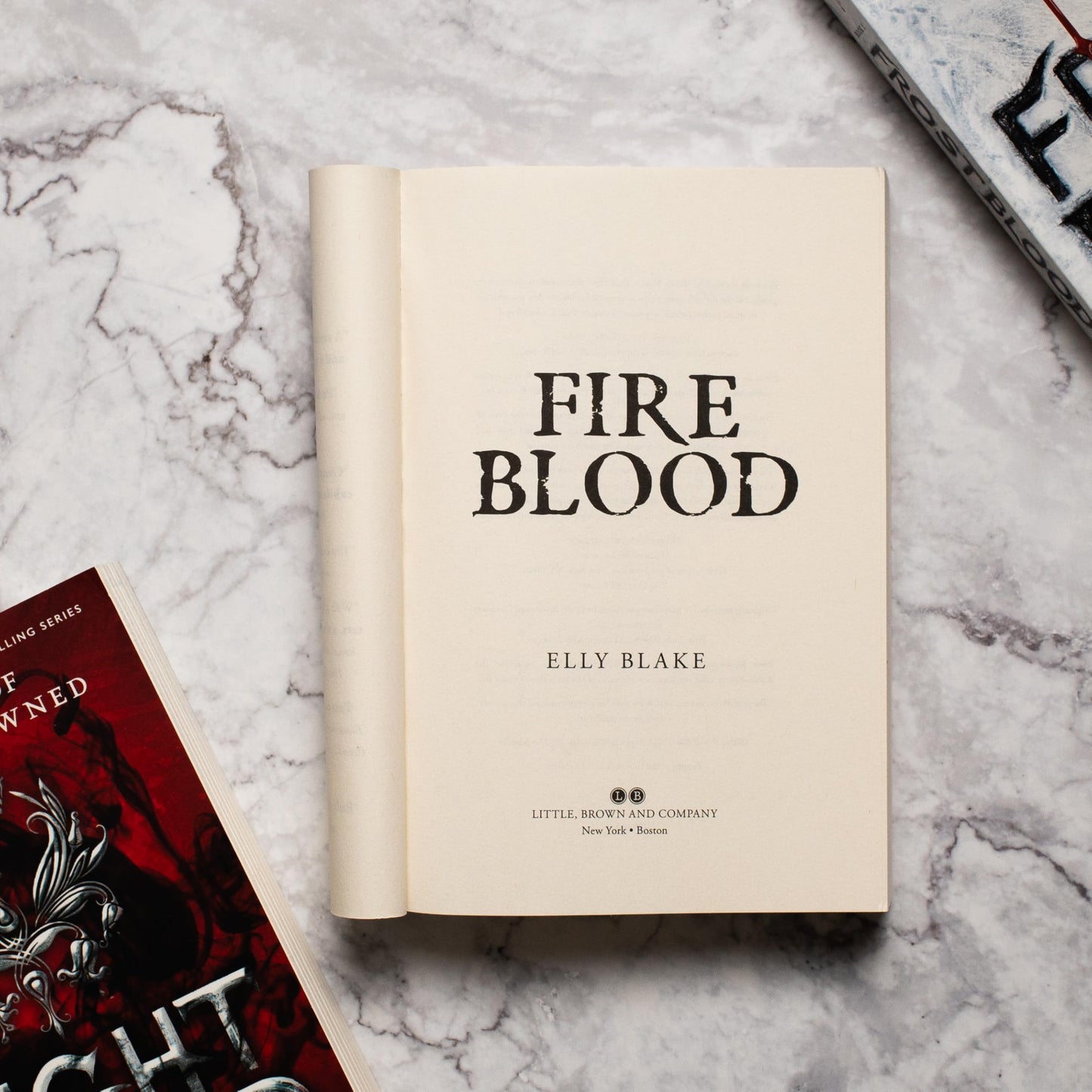 Fireblood (The Frostblood Saga, 2)