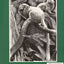 The Guild Handbook of Scientific Illustration by ) Hodges, E