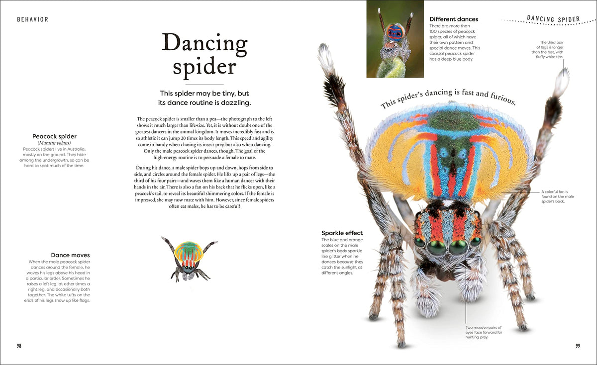 Weird and Wonderful Nature: Tales of More Than 100 Unique Animals, Plants, and Phenomena (DK Treasures)
