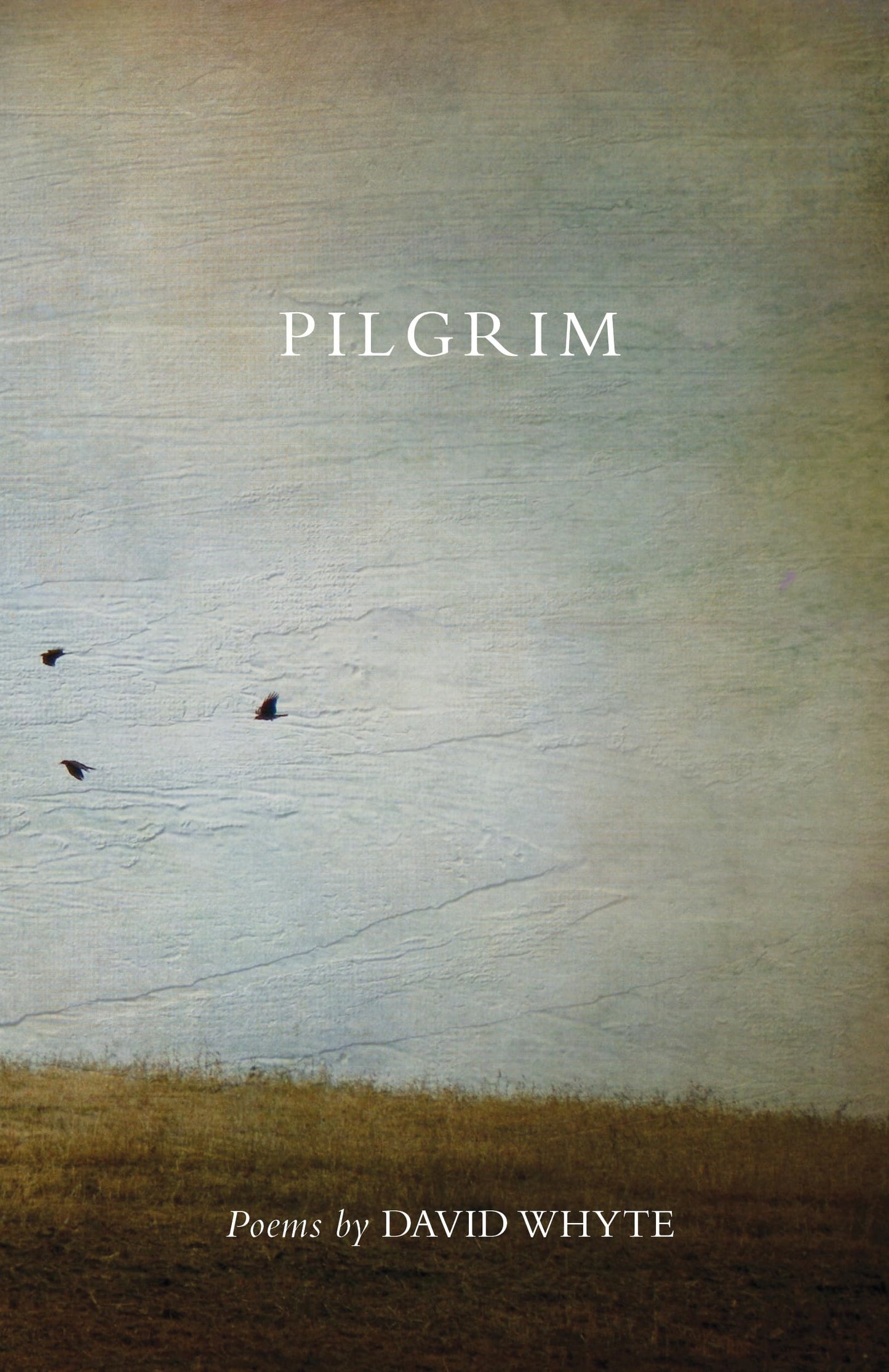 Pilgrim (Revised) by David Whyte