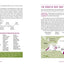 Kevin Zraly Windows on the World Complete Wine Course: Revised & Updated / 35th Edition