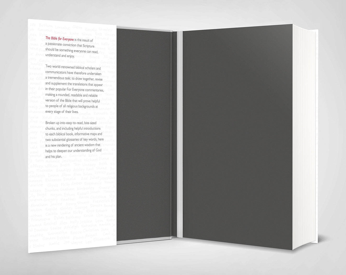 The Bible for Everyone by John E. Goldingay