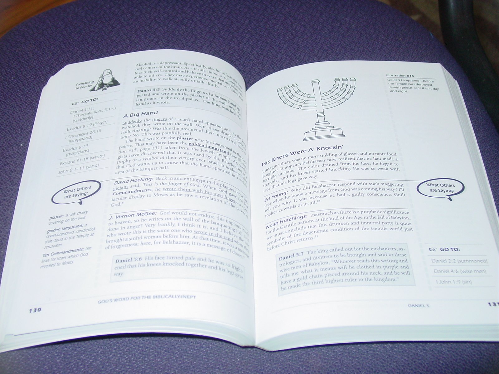 Daniel (God's Word for the Biblically-Inept Series : New International Version)
