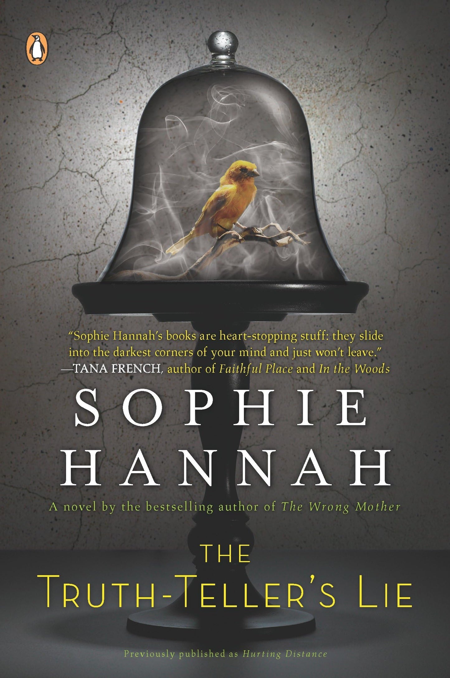 The Truth-Teller's Lie: A Novel previously published as Hurting Distance