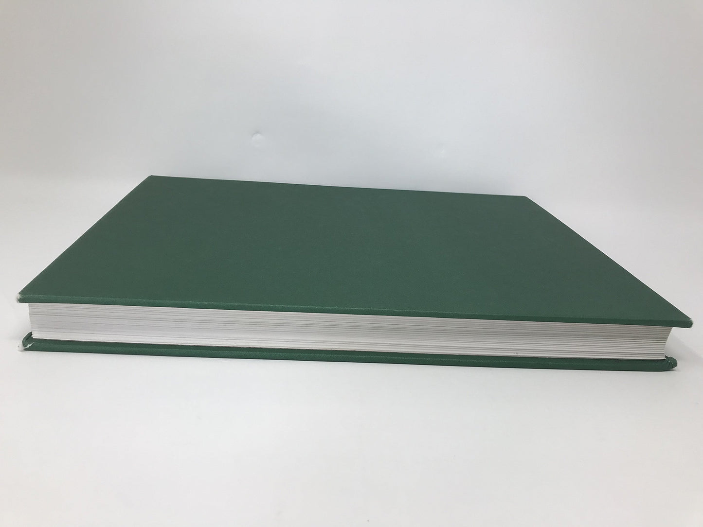 The Illustrated Encyclopedia of Camellias by Macoboy, Stirli