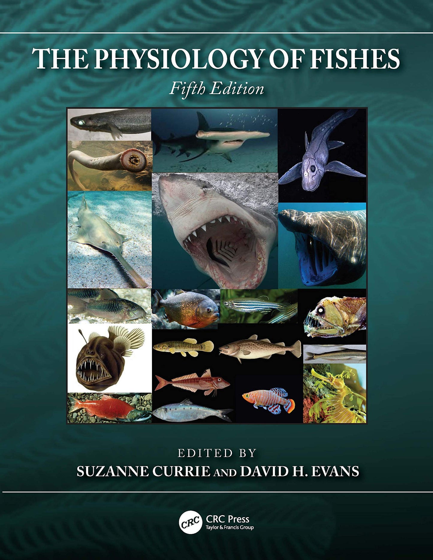 The Physiology of Fishes (CRC Marine Biology Series)