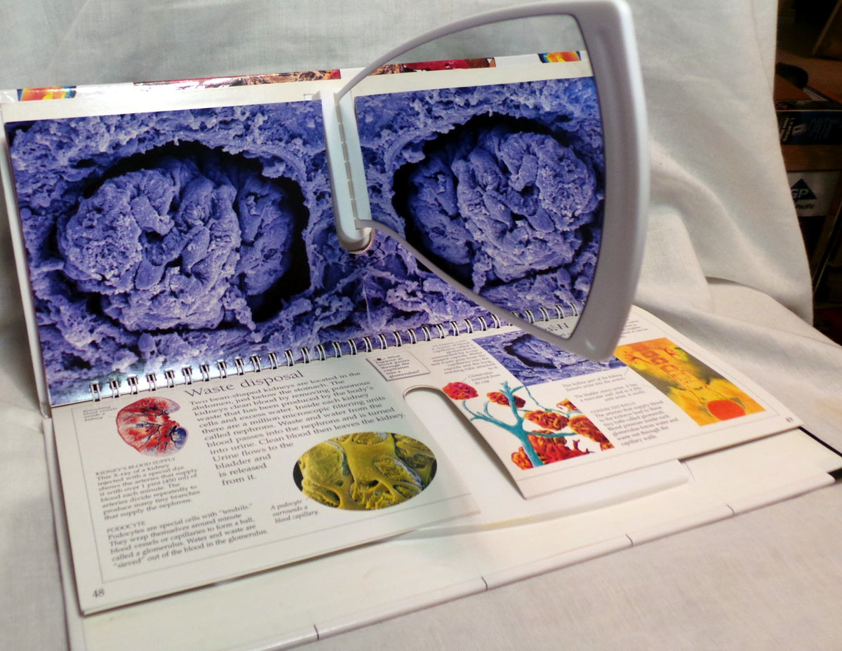 3D Eyewitness: Human Body