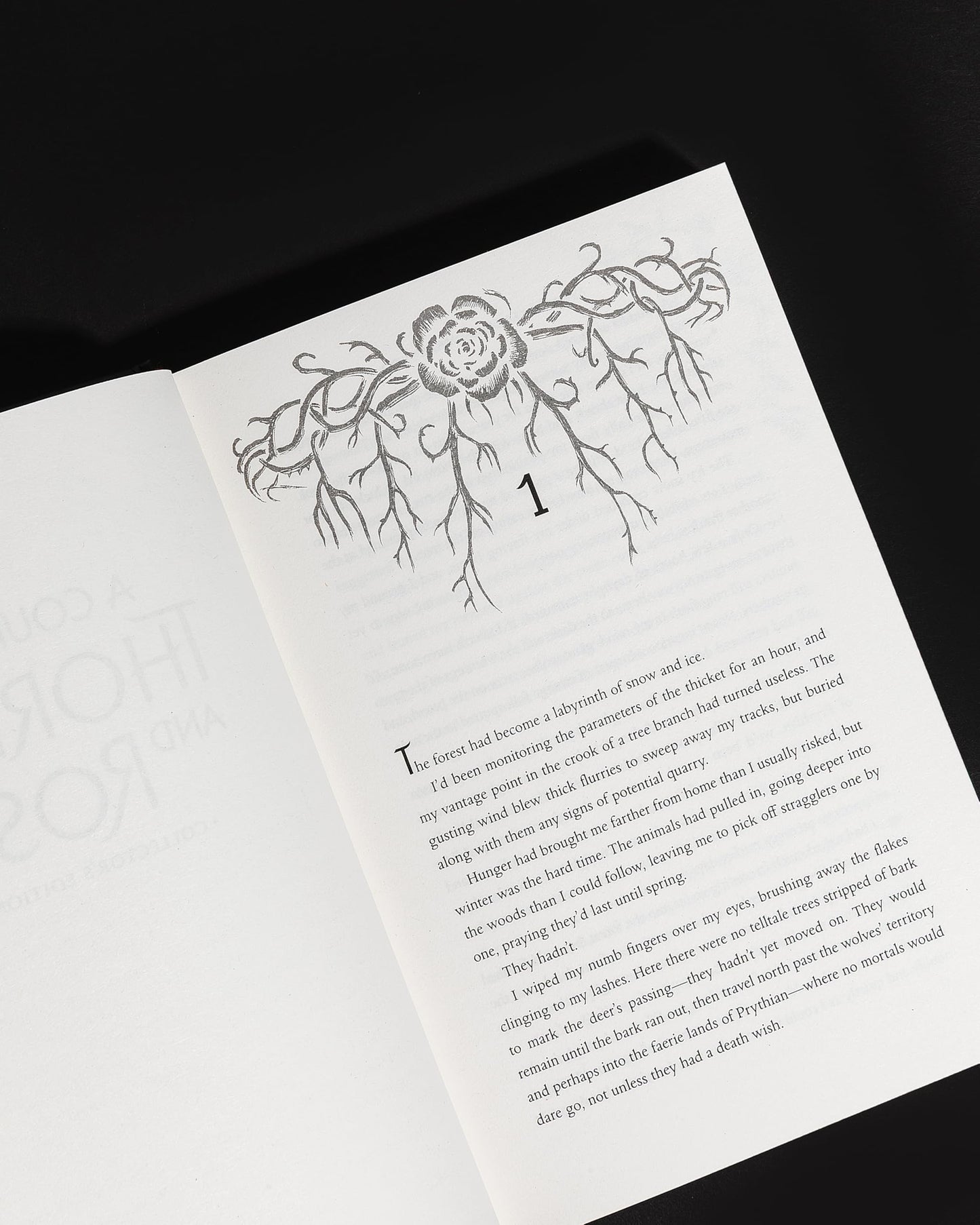 A Court of Thorns and Roses Collector's Edition