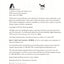 Bellman & Black: A Novel