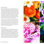 The Flower Workshop: Lessons in Arranging Blooms, Branches, Fruits, and Foraged Materials