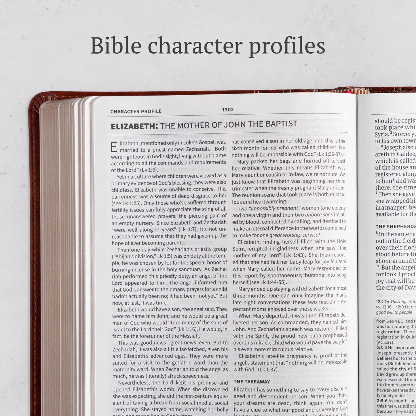 CSB Everyday Study Bible, British Tan LeatherTouch, Black Letter, Study Notes, Illustrations, Aricles, Easy-to-Carry, Easy-to-Read Bible Serif Type