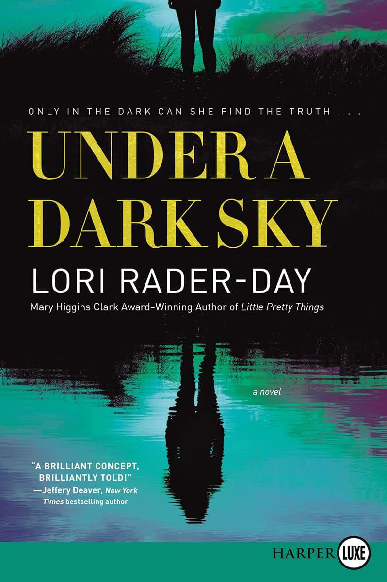 Under a Dark Sky: A Novel