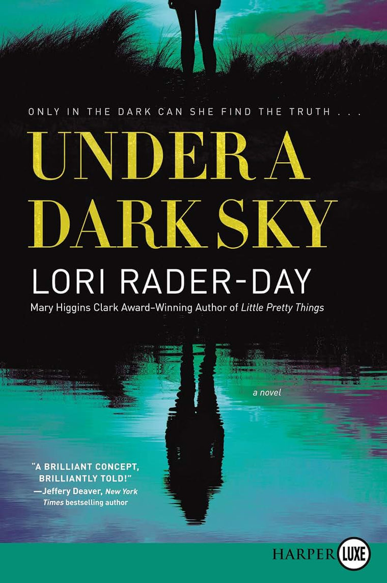 Under a Dark Sky: A Novel