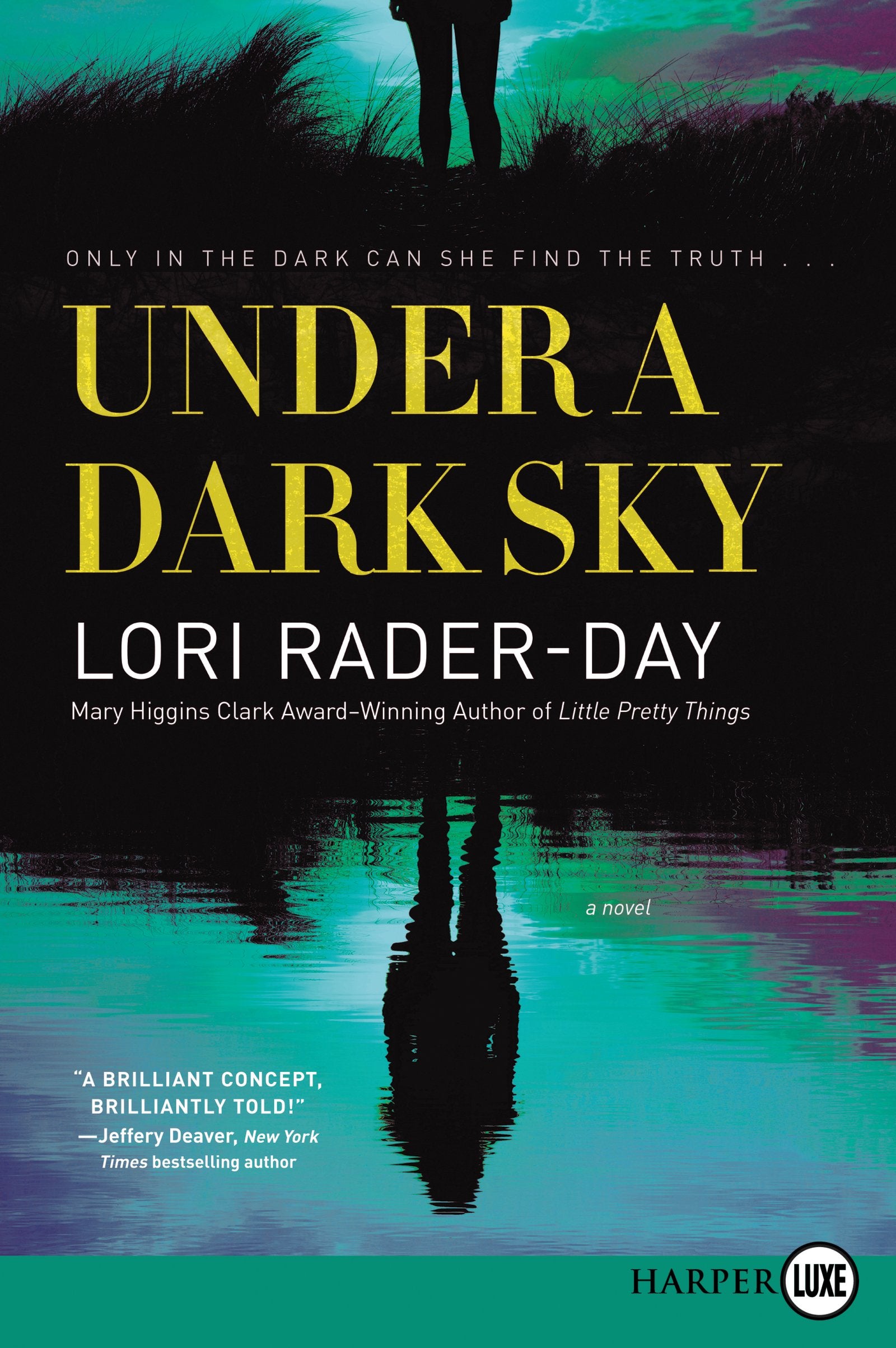 Under a Dark Sky: A Novel