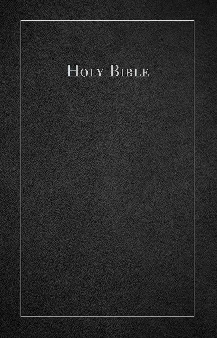 CEB Common English Bible Large Print Thinline