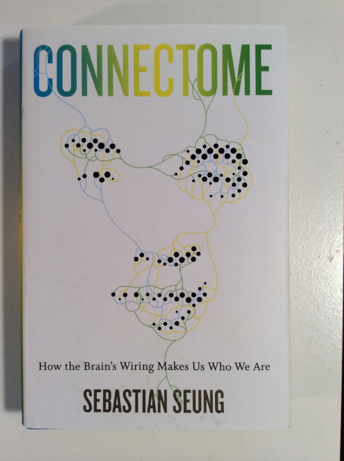 Connectome: How the Brains Wiring Makes Us Who We Are