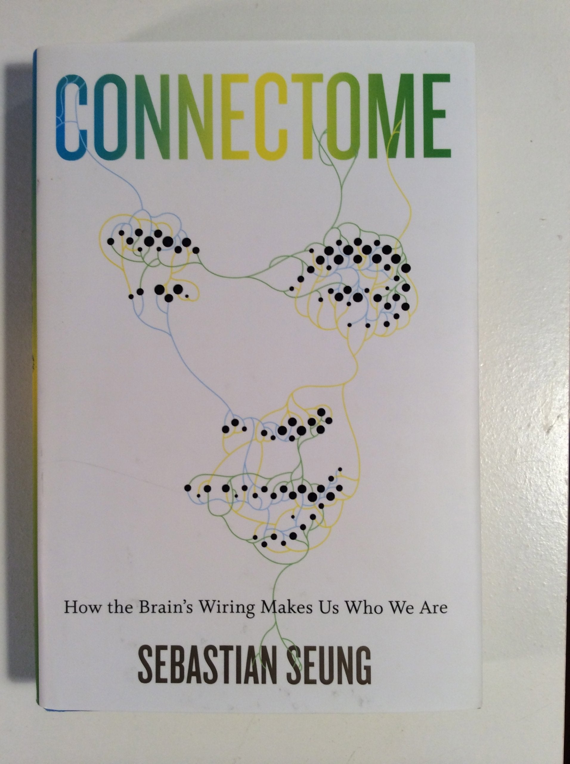 Connectome: How the Brains Wiring Makes Us Who We Are